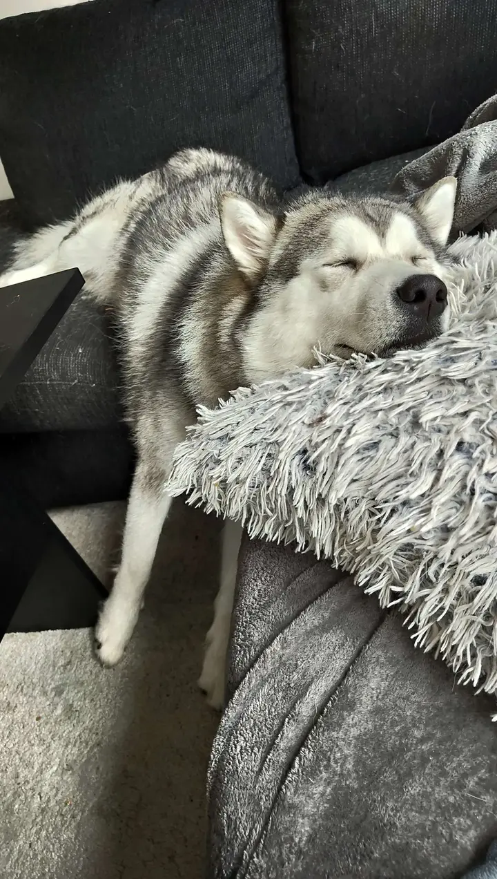 Porträttbild av Svante