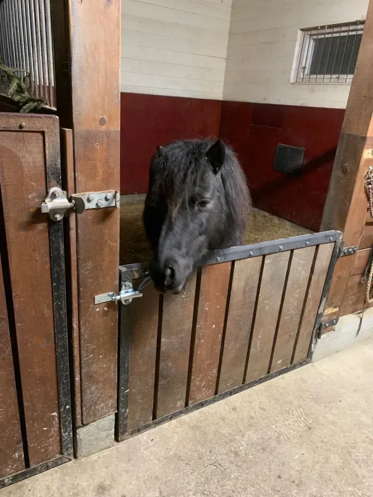 Ombyggnation av boxgrind